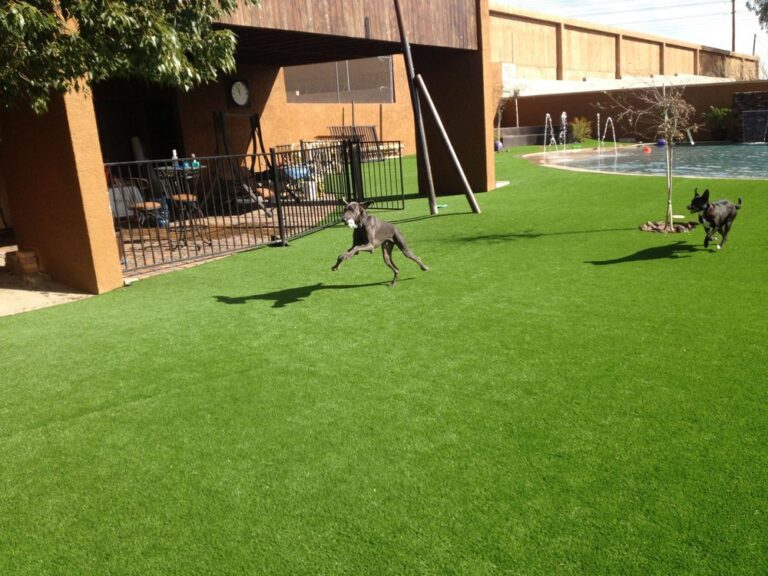 Pet Turf Installation 3