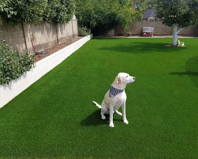 Pets Artificial Turf